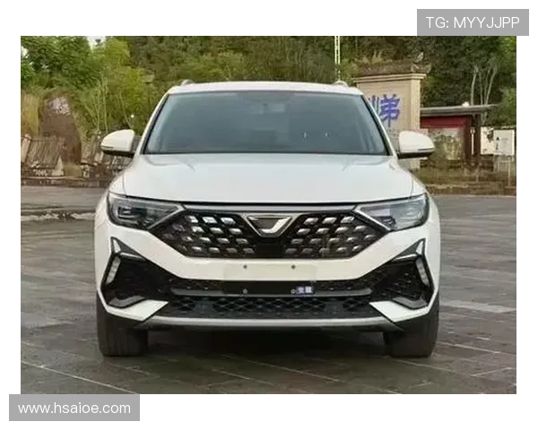 10万买奥迪同款动力，使用还比大众便宜，捷达VS5超值