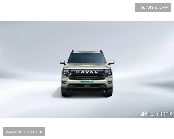 10来万买“大G”！哈弗大狗的真实售价太香了