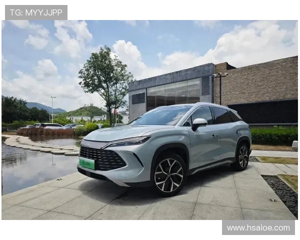 10月12日正式上市 比亚迪宋燃油版预售价10-15万